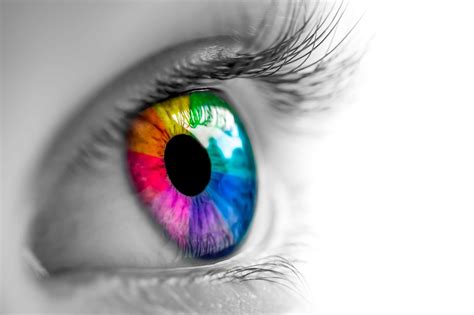 How Humans See Colors Accuspire