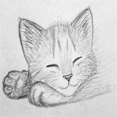 cute cat pencil sketch digital  etsy