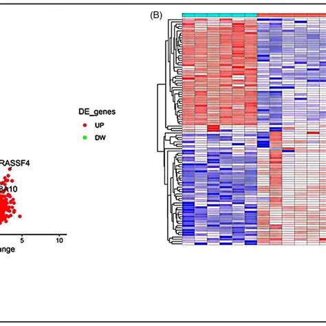 A Volcano Plot Of DEGs In Group CR B The Heatmap Of DEGs In Group