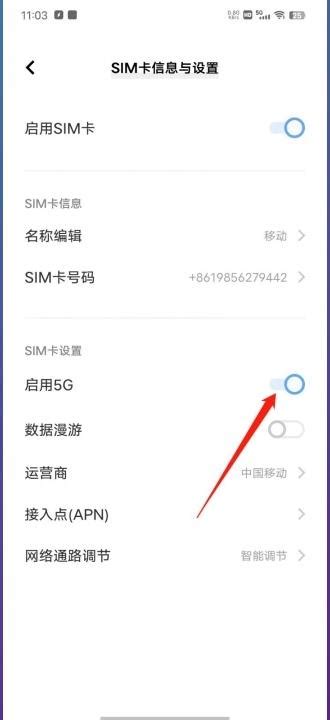 Iqoo怎么关闭5g网络换4g Iqoo手机4g5g网络切换设置教程 适会说