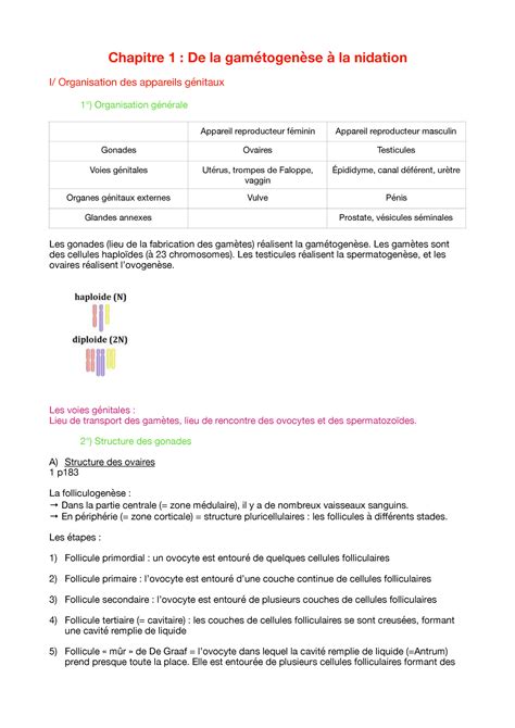 Chapitre De La Gam Tog Nese La Nidation Chapitre De La