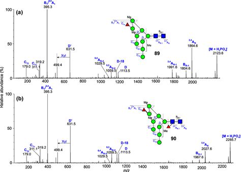 Negative Ion Collisioninduced Dissociation Cid Spectra Of Two