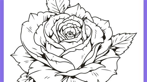 Desenho De Rosas Desenhos De Flores: 38 Ideias Para Imprimir E Colorir