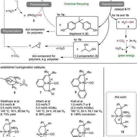 Chemical Recycling Concept For Poly Bisphenol A Carbonate And