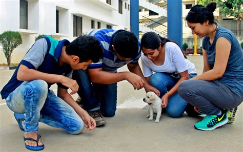 Symbiosis Bangalore Students Can Now Put A ‘Paws’ On Stress - InsideIIM