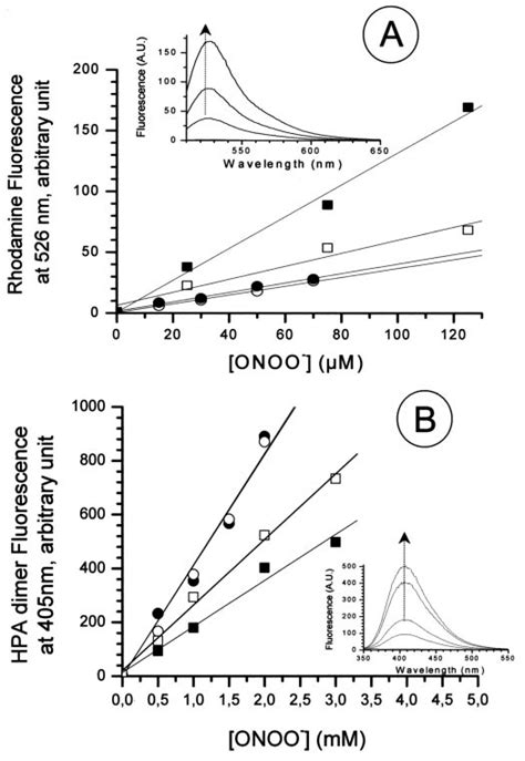 Oxidative properties of iNOSoxy-activated peroxynitrite. A, DHR ...