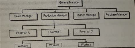 Line Organization: Definition, Types, Pros, and Cons Explained