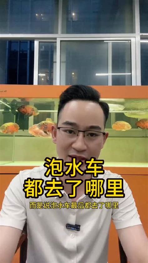 泡水车真的不能要吗？那么多泡水车都去了哪里？泡水车北京市新浪新闻