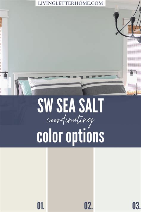 Sherwin Williams Sea Salt