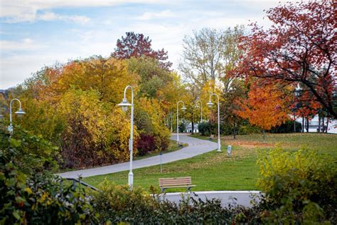 Pathway between Fall Foliage of a Beautiful Park during Autumn Season ...