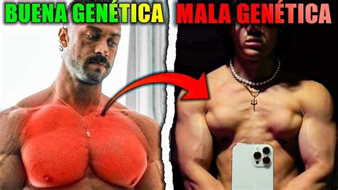 C Mo Saber Si Tengo Buena Gen Tica De Pectoral El An Lisis Youtube