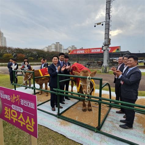 경북한우경진대회 미경산우 부문에서 청도군 금천면 박천석 농가 최우수상 대한경제