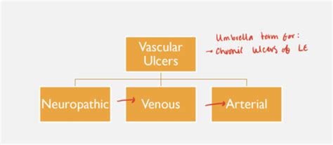 Lecture Vascular Ulcers Flashcards Quizlet