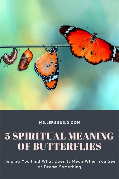 Spiritual Meaning Of Butterfly Symbolism Butterfly Meaning Brown