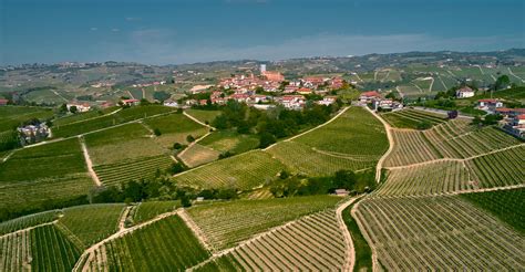 Qual è il Periodo Migliore per Visitare le Langhe Boroli Vino Barolo