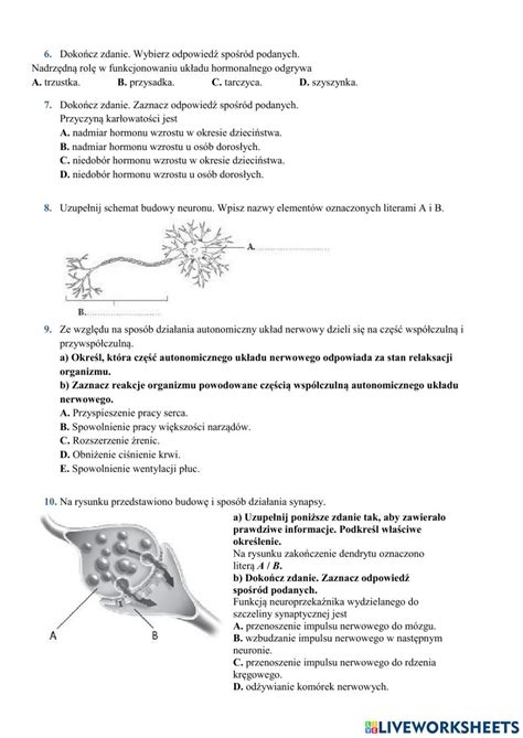 Sprawdzian Biologia Klasa Regulacja Nerwowo Hormonalna Odpowiedzi