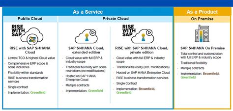 The Basic Difference Between Rise With Sap Private And Public Edition