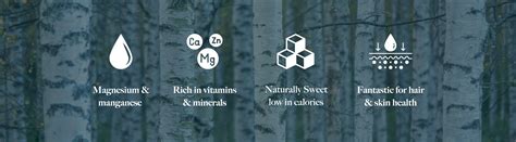 Norlo - Benefits of Birch Water – NORLO