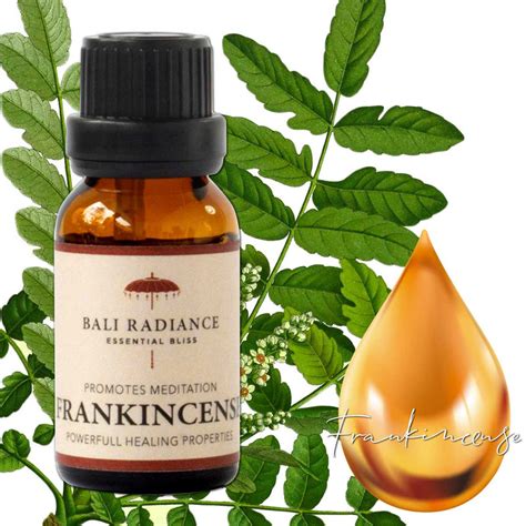 Boswellia Serrata Frankincense Essential Oil Bali Radiance