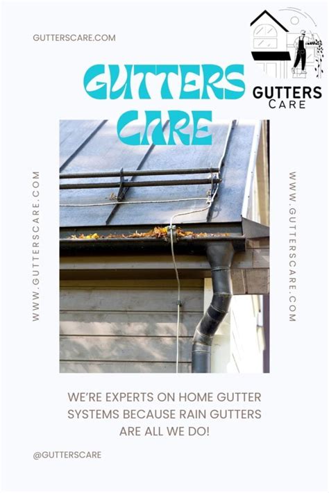 White House Black Gutters: Ultimate Guide to Maintenance and Style ...