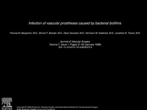 Infection Of Vascular Prostheses Caused By Bacterial Biofilms Ppt Download