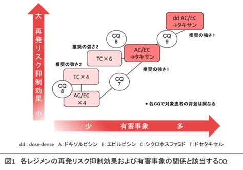 Cq9 化学療法を行う早期乳癌に対して，dose Dense化学療法は勧められるか？ 薬物療法 乳癌診療ガイドライン2022年版