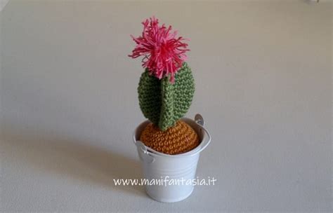 Cactus Uncinetto Con Fiore Tutorial Spiegazioni Manifantasia