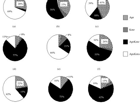 Heterogeneity of heterotrophic bacteria dominating in Lake Shira in... | Download Scientific Diagram