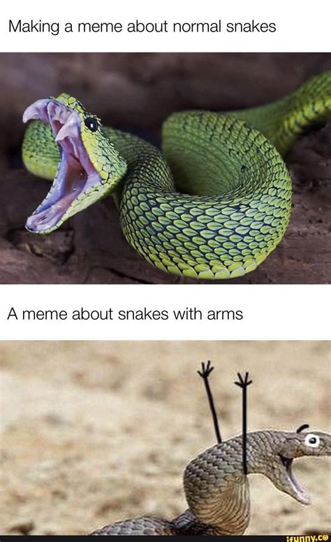 Making a meme about normal snakes A meme about snakes with arms - iFunny