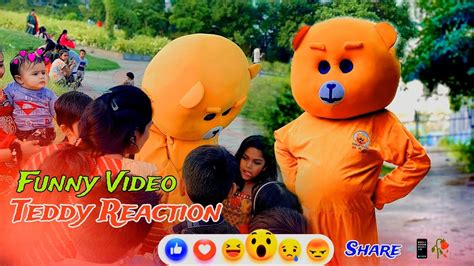 Funny Video🙄teddy Reaction Best Teddy Funny Video In 2024🎉 Surat