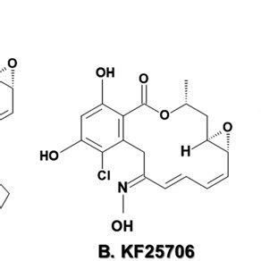 Chemical Structures Of Radicicol Derived Hsp Inhibitors A