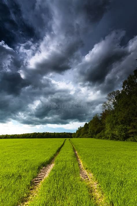 Nuvens De Tempestade Sobre O Campo Foto De Stock Imagem De Cenas