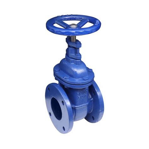 Handwheel Cast Iron Flanged Gate Valve 250 Mm Agrico