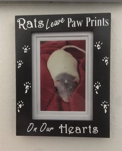 Rat Paw Prints 4x6 Picture Frame - Etsy