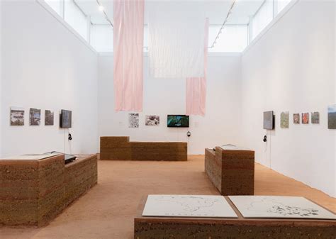 Terra Brazilian Pavilion At The Venice Biennale Golden Lion For