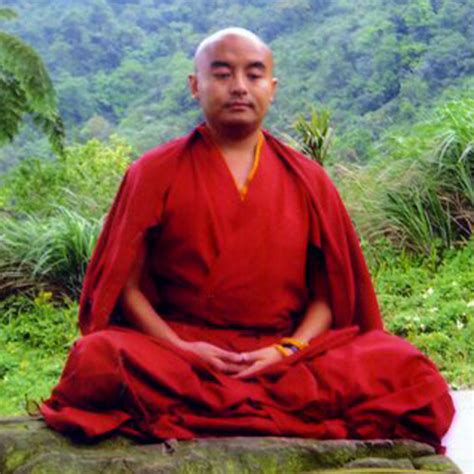 Mingyur Rinpoche’s Farewell Letter to the Tergar Community - Tergar ...