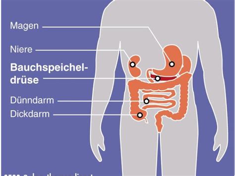 Neue Methode zur Bauchspeicheldrüsenkrebs Diagnose Früherkennung kann