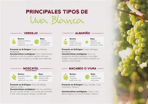 Vinos Tipos De Vino Y De Uvas Lidl