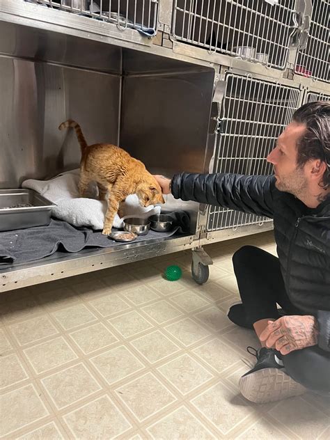 faithful friends animal clinic 8