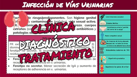 Infecciones de Vías Urinarias IVU ALTAS e IVU BAJAS Síntomas