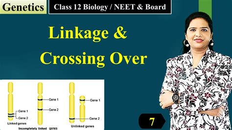 Linkage And Crossing Over Class Biology Genetics English Youtube