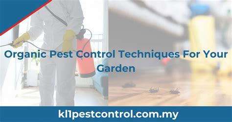 Organic Pest Control Techniques For Your Garden [2024]