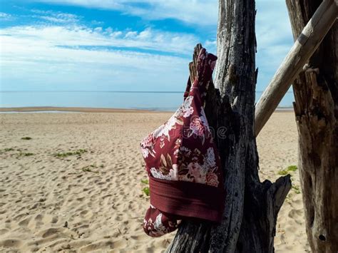 Bikini Bikini Biquíni Pendurado Num Galho De árvore Seca Na Praia à Luz Do Sol Conceito De