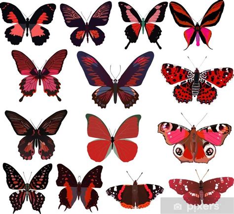 Sticker Fourteen Red Butterflies Isolated On White Pixersuk