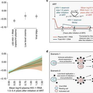 The Interplay Of Residual Viremia And HIV 1 Reservoir Size And