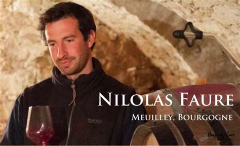 Rare Domaine Nicolas Faure Burgundy Cave