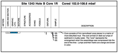 Figure F2 An Example Of An Applecore Barrel Sheet Graphic Lith