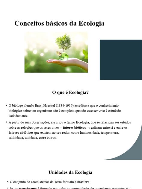 Conceito Basico Da Ecologia - Conceitos Básicos Da Ecologia | PDF | Ecologia | Ecossistema