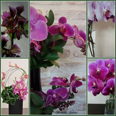 Purple Orchids Are Arranged In Different Vases