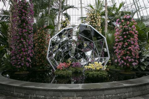 Un caleidoscopio de orquídeas toma el Jardín Botánico de Nueva York